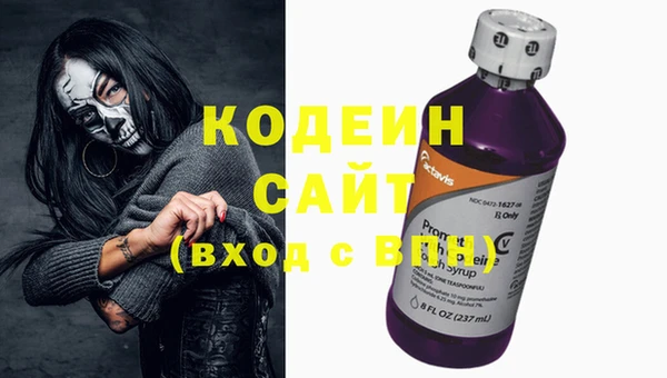 хмурый Няндома