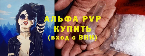 гидра Снежногорск