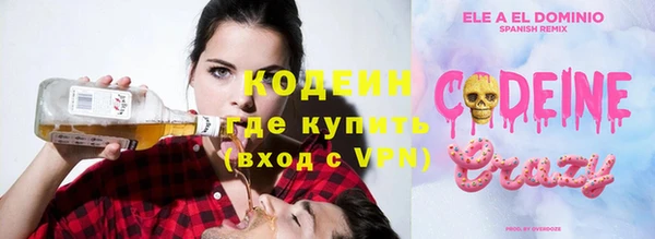 хмурый Няндома