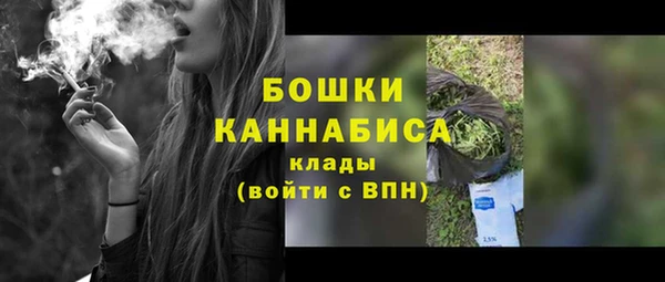 хмурый Няндома