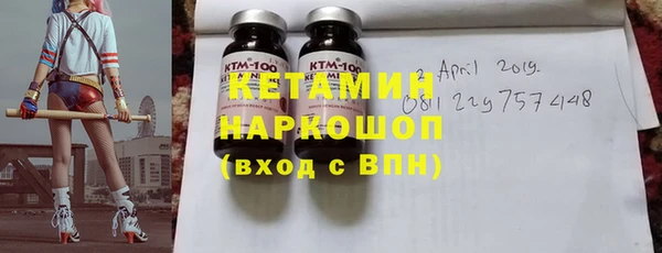 хмурый Няндома