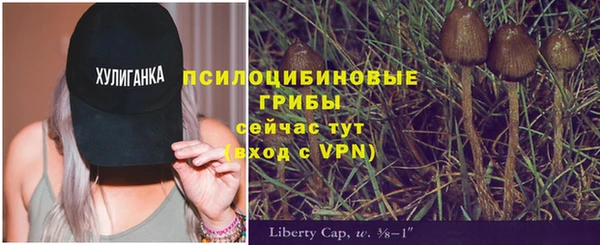 apvp Осинники