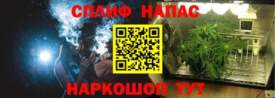 ГАЛЛЮЦИНОГЕННЫЕ ГРИБЫ Гусиноозёрск