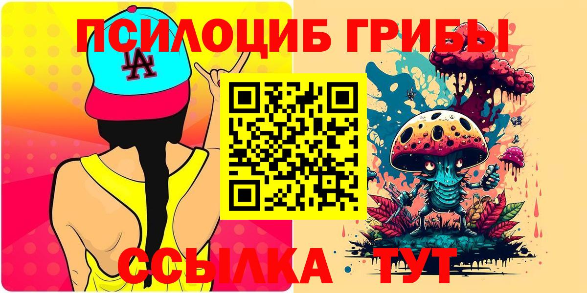 Галлюциногенные грибы Psilocybine cubensis Семилуки