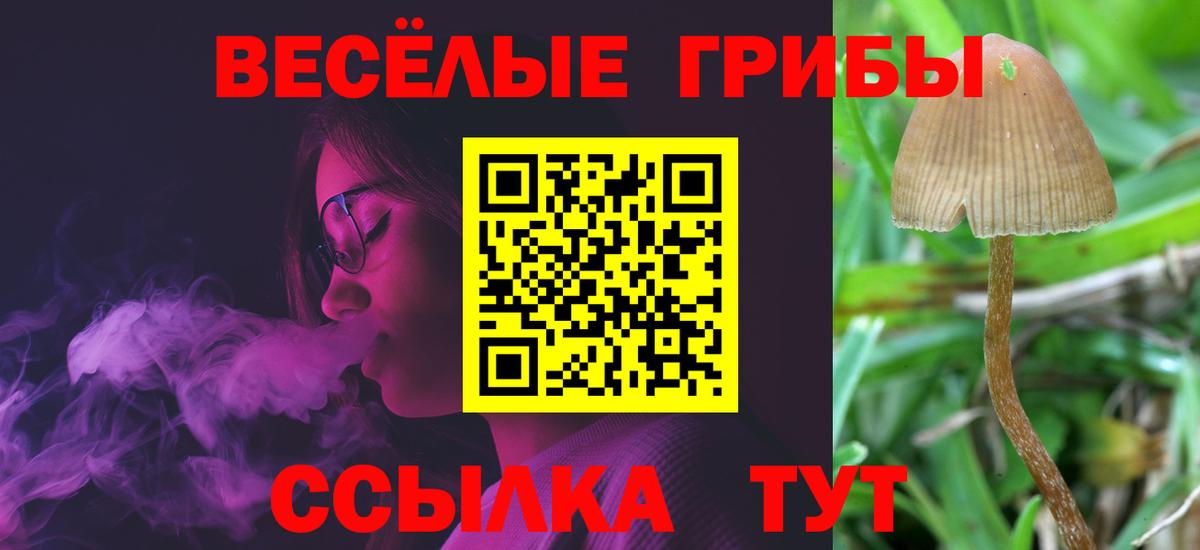 Псилоцибиновые грибы мухоморы Семилуки
